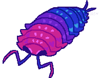 a bisexual coloured bisopod